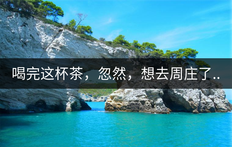 喝完這杯茶，忽然，想去周莊了...