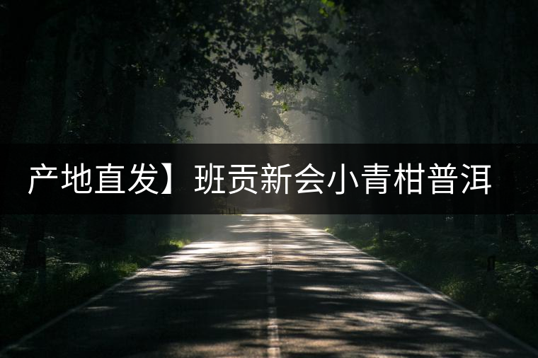 產(chǎn)地直發(fā)】班貢新會(huì)小青柑普洱茶柑普茶陳皮熟茶茶葉桔橘宮廷特級