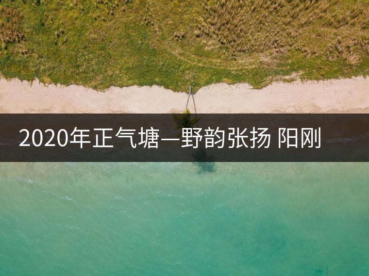 2020年正氣塘—野韻張揚 陽剛豪邁-易武中聘號