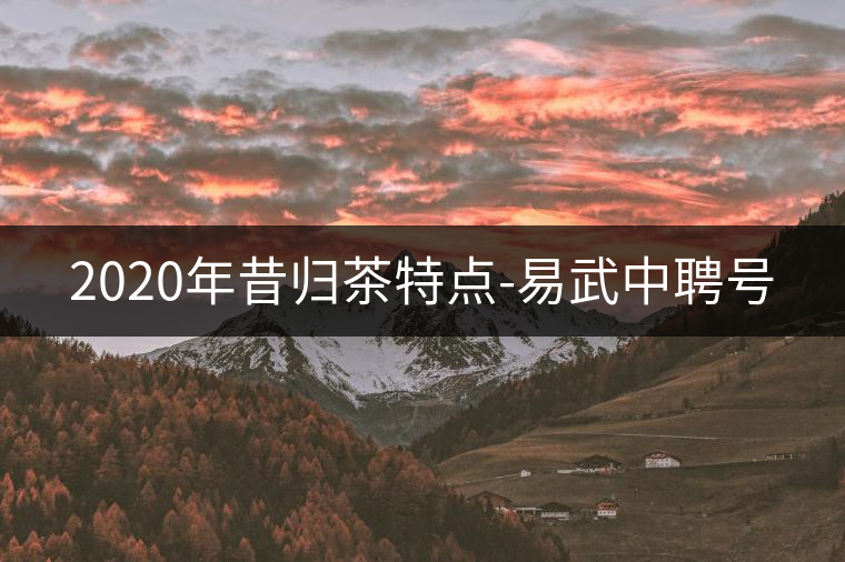 2020年昔歸茶特點(diǎn)-易武中聘號 2020年昔歸茶特點(diǎn)-易武中聘號