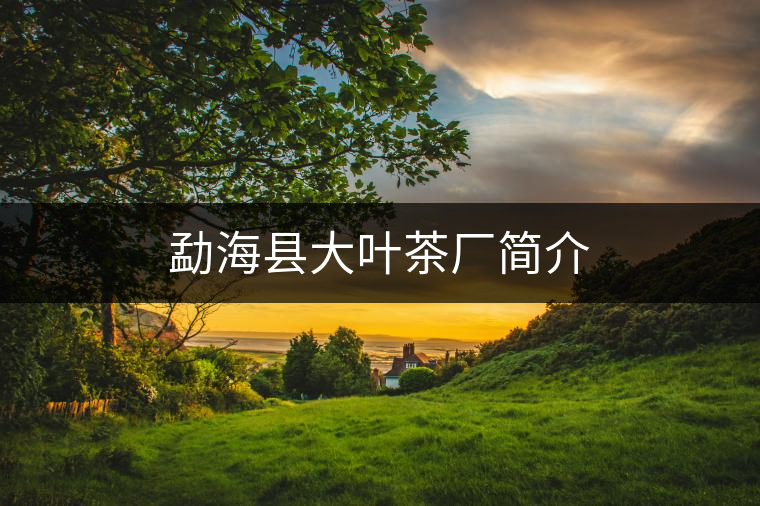 勐海縣大葉茶廠簡介 勐??h大葉茶廠簡介