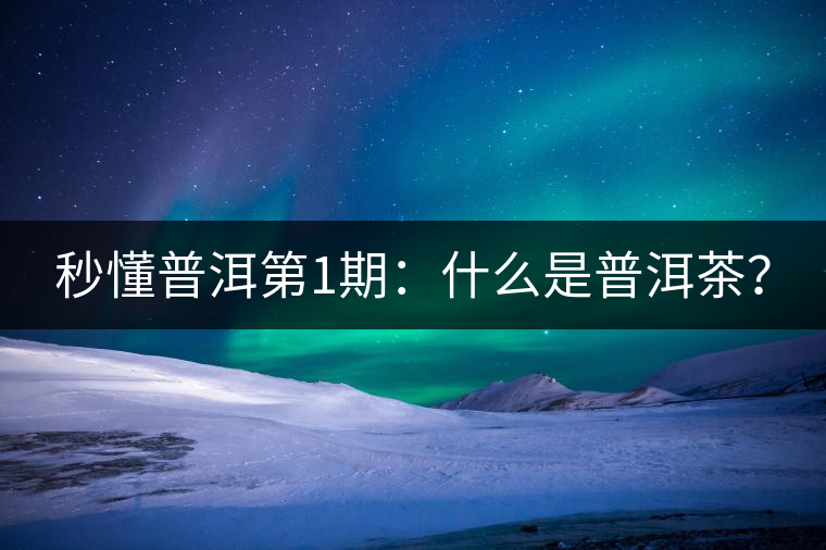 秒懂普洱第1期：什么是普洱茶？