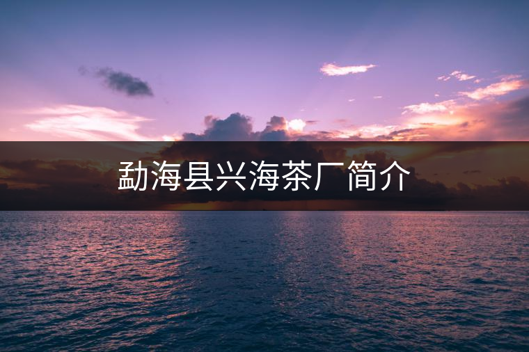 勐?？h興海茶廠簡(jiǎn)介