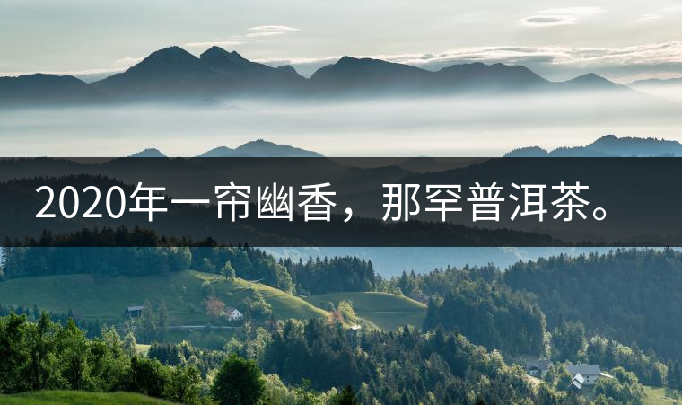 2020年一簾幽香，那罕普洱茶。-易武中聘號
