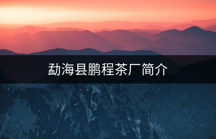 勐?？h鵬程茶廠簡介