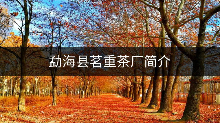 勐?？h茗重茶廠簡介