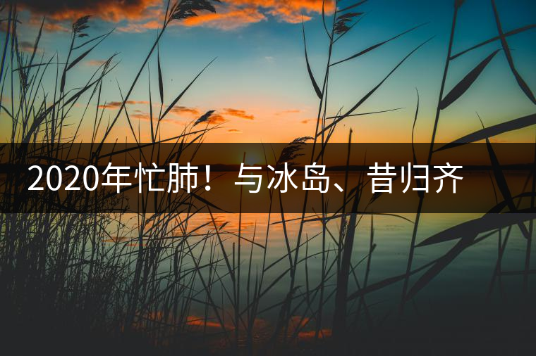 2020年忙肺！與冰島、昔歸齊名的普洱茶，到底是什么味道？-易武中聘號(hào)