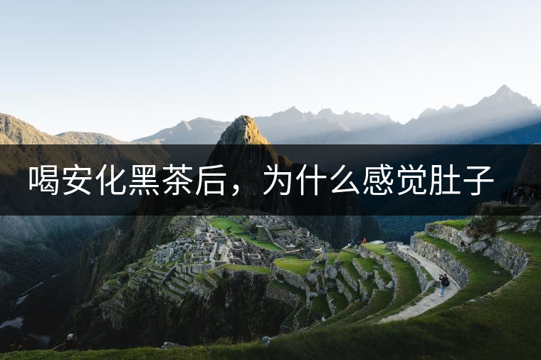 喝安化黑茶后，為什么感覺(jué)肚子餓的快？