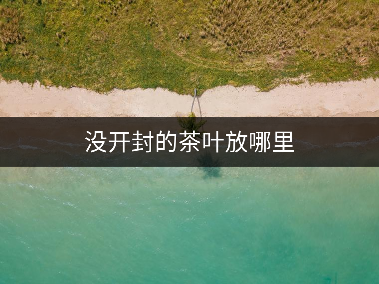 沒(méi)開(kāi)封的茶葉放哪里 沒(méi)開(kāi)封的茶葉放哪里