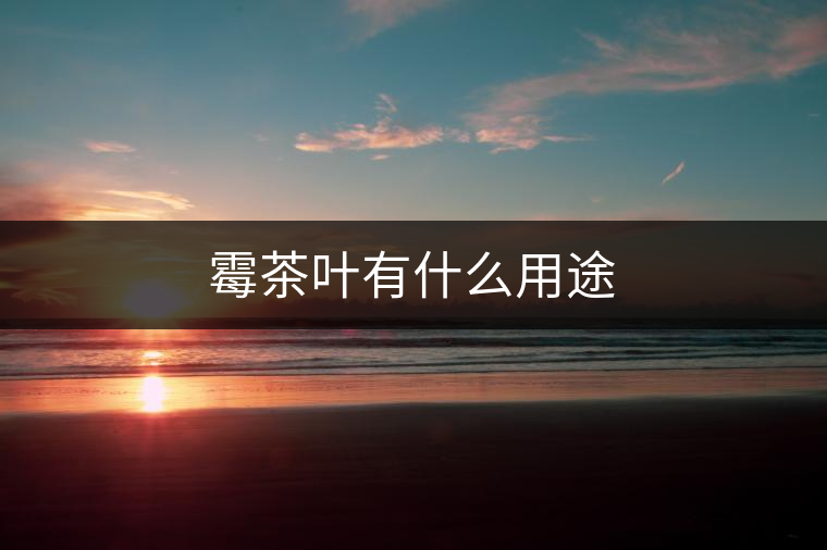 霉茶葉有什么用途 霉茶葉有什么用途