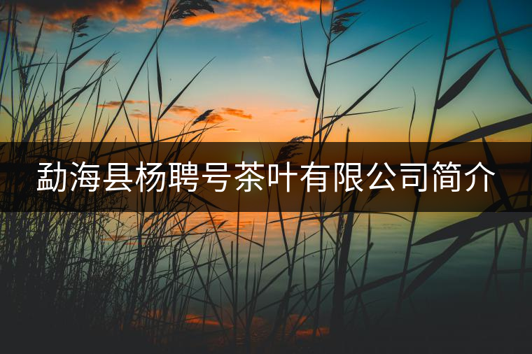 勐海縣楊聘號(hào)茶葉有限公司簡介 勐海縣楊聘號(hào)茶葉有限公司簡介