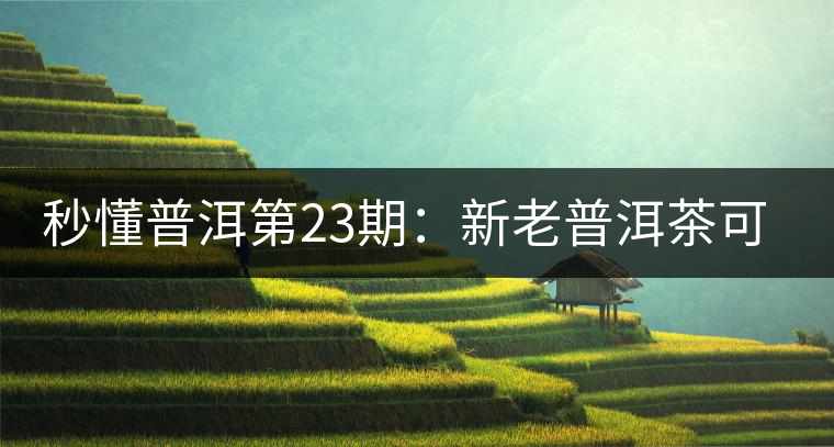 秒懂普洱第23期：新老普洱茶可以放到一起嗎？