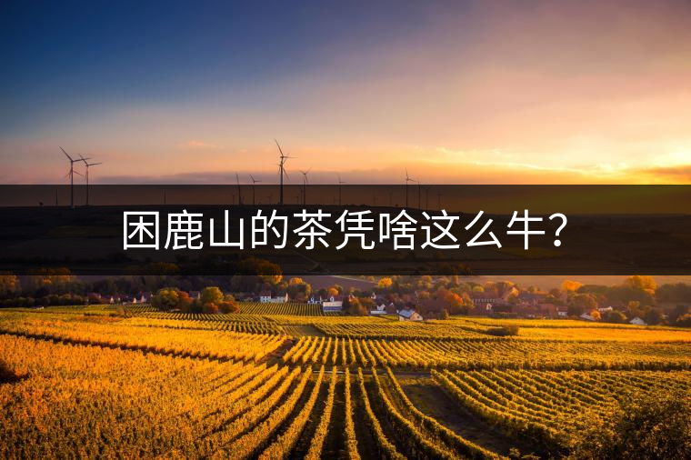 困鹿山的茶憑啥這么牛? 困鹿山的茶憑啥這么牛?