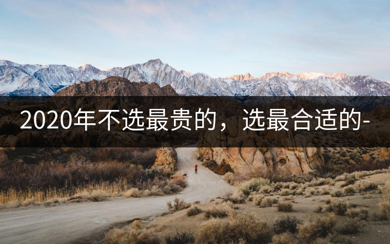 2020年不選最貴的，選最合適的-無(wú)量山古樹(shù)茶 |-易武中聘號(hào)