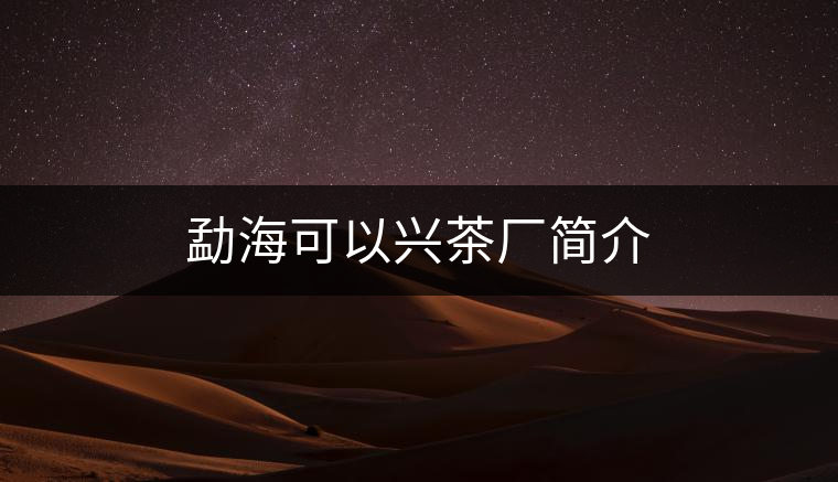 勐?？梢耘d茶廠簡介