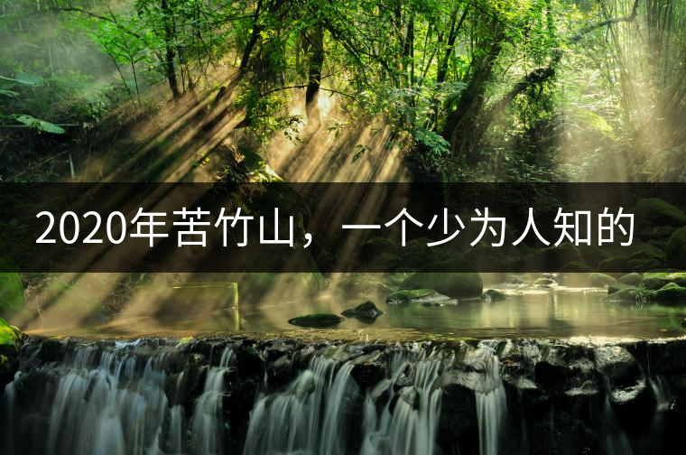 2020年苦竹山，一個(gè)少為人知的后起之秀！-易武中聘號(hào)