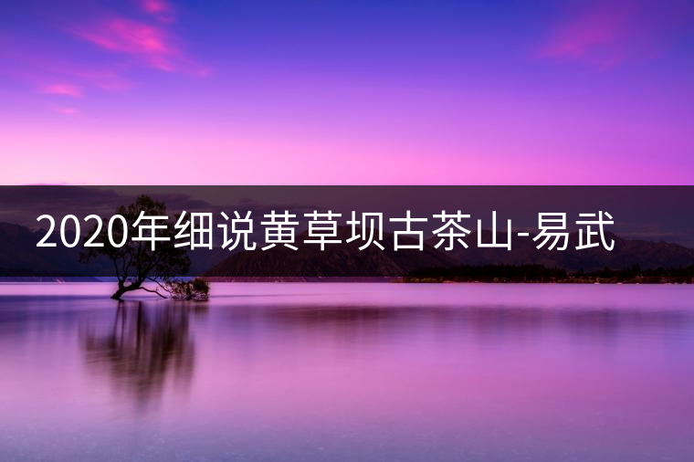 2020年細(xì)說黃草壩古茶山-易武中聘號(hào) 2020年細(xì)說黃草壩古茶山-易武中聘號(hào)