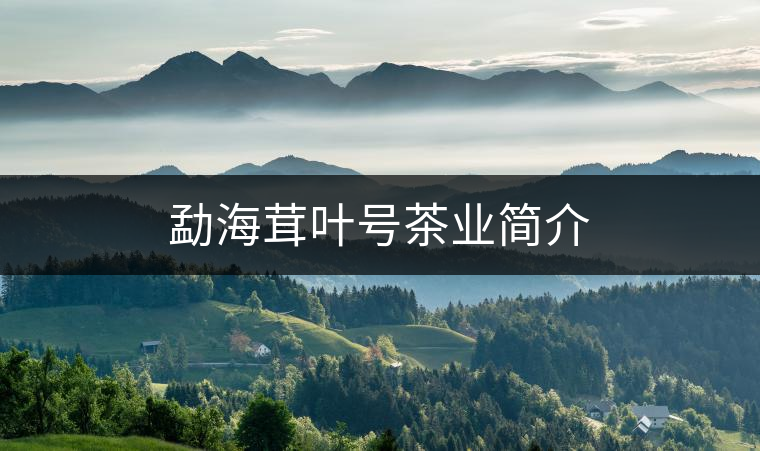 勐海茸葉號(hào)茶業(yè)簡(jiǎn)介 勐海茸葉號(hào)茶業(yè)簡(jiǎn)介