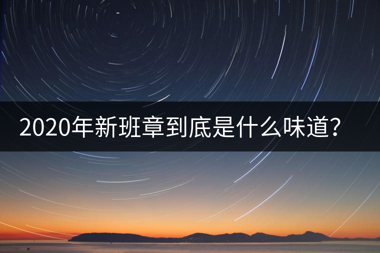 2020年新班章到底是什么味道？-易武中聘號(hào)
