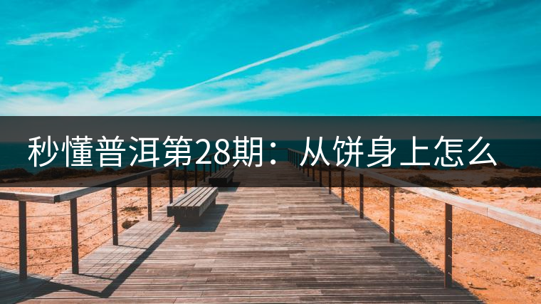 秒懂普洱第28期：從餅身上怎么辨識干倉與濕倉 普洱茶？