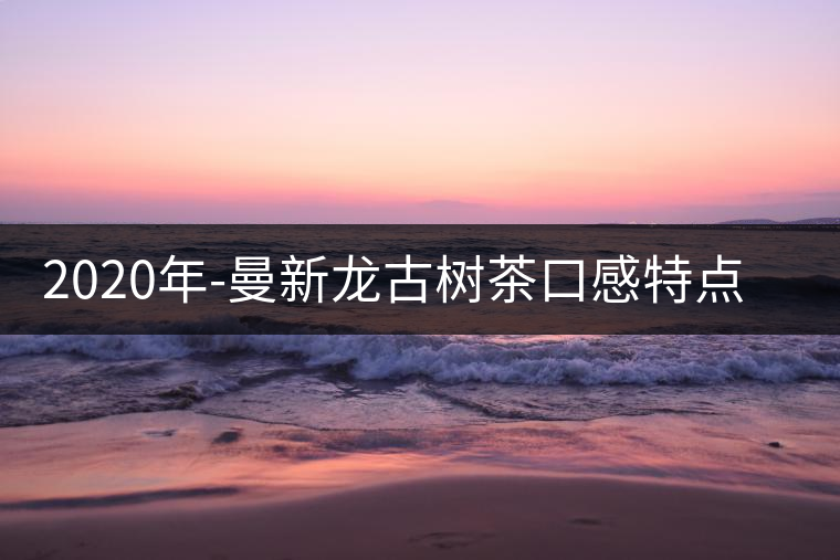 2020年-曼新龍古樹茶口感特點(diǎn)-易武中聘號