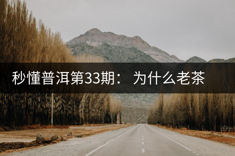 秒懂普洱第33期： 為什么老茶客都喜歡用紫砂壺泡普洱茶？