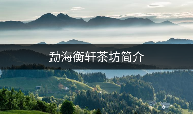 勐海衡軒茶坊簡(jiǎn)介