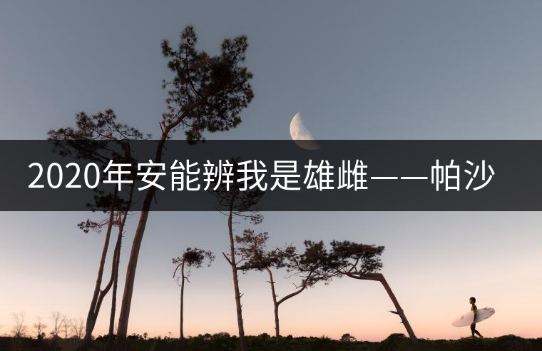 2020年安能辨我是雄雌——帕沙古樹茶-易武中聘號 2020年安能辨我是雄雌——帕沙古樹茶-易武中聘號