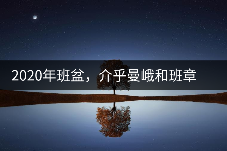 2020年班盆，介乎曼峨和班章間的“老漢子”-易武中聘號