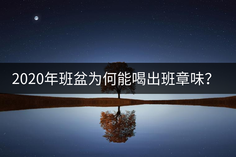 2020年班盆為何能喝出班章味？-易武中聘號(hào)