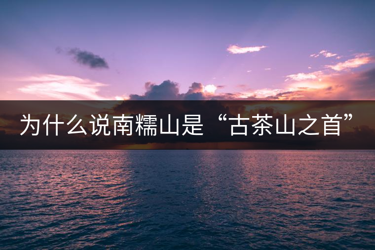 為什么說(shuō)南糯山是“古茶山之首”？