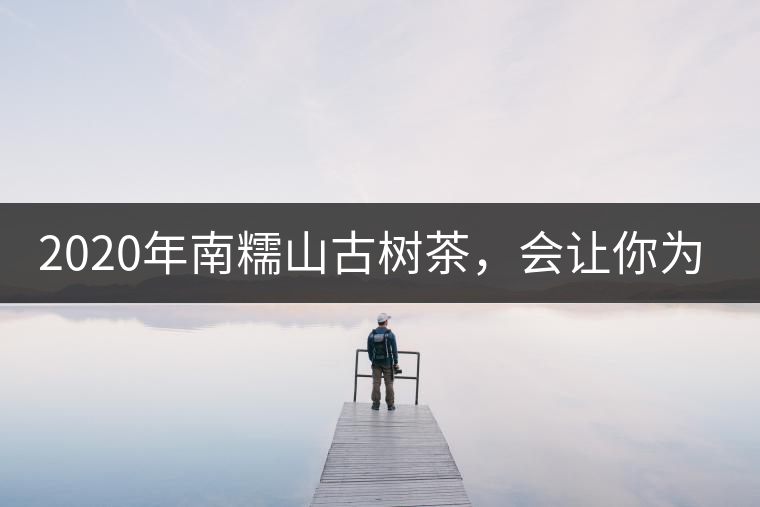 2020年南糯山古樹茶，會讓你為之著迷-易武中聘號