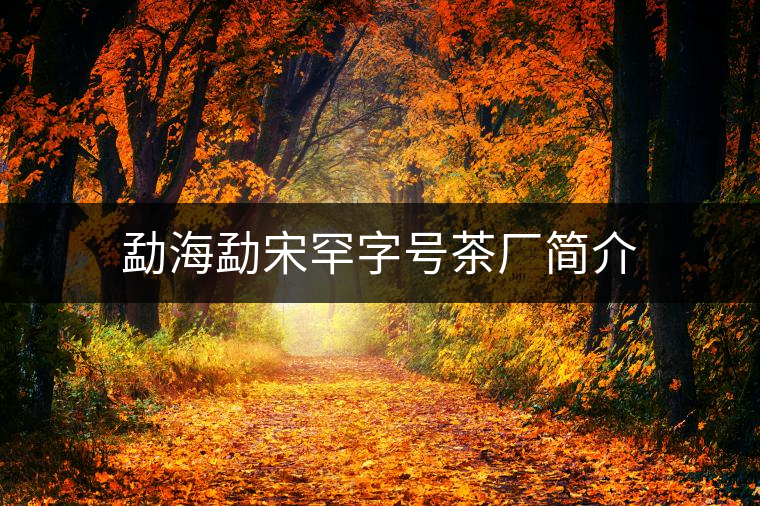 勐海勐宋罕字號(hào)茶廠簡(jiǎn)介 勐海勐宋罕字號(hào)茶廠簡(jiǎn)介