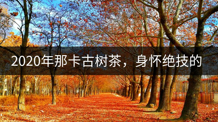 2020年那卡古樹茶，身懷絕技的“小班章” -易武中聘號(hào)