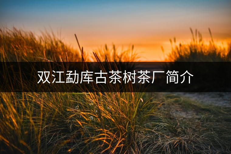 雙江勐庫(kù)古茶樹茶廠簡(jiǎn)介 雙江勐庫(kù)古茶樹茶廠簡(jiǎn)介