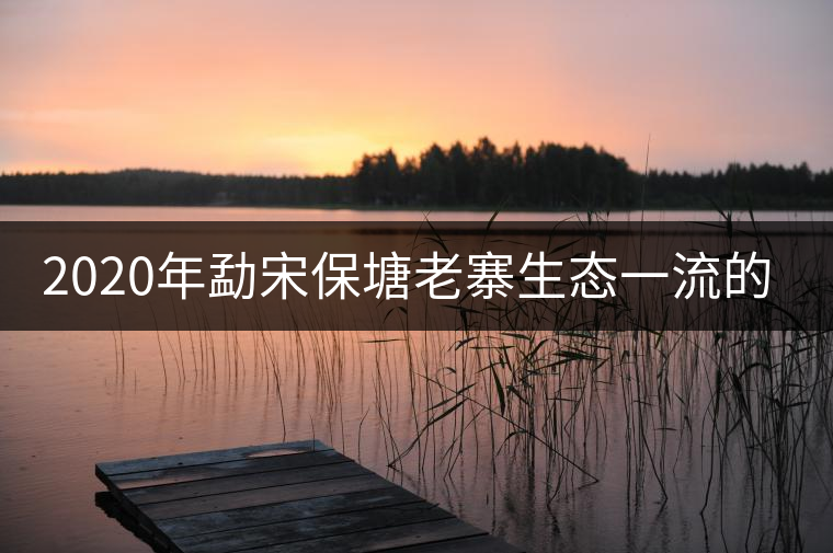 2020年勐宋保塘老寨生態(tài)一流的古樹茶-易武中聘號(hào)