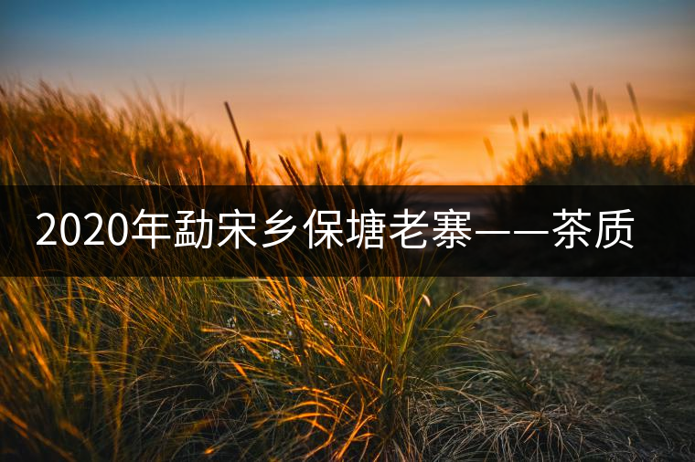 2020年勐宋鄉(xiāng)保塘老寨——茶質(zhì)厚重,一飲難忘-易武中聘號