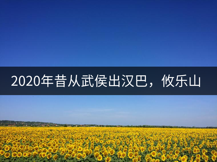 2020年昔從武侯出漢巴，攸樂山中只種茶。-易武中聘號(hào)