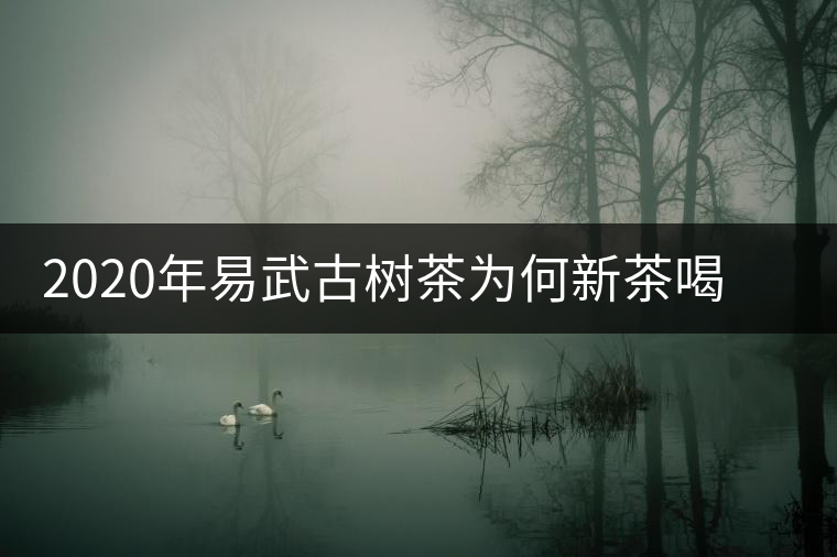 2020年易武古樹茶為何新茶喝時(shí)淡卻越放越濃？-易武中聘號