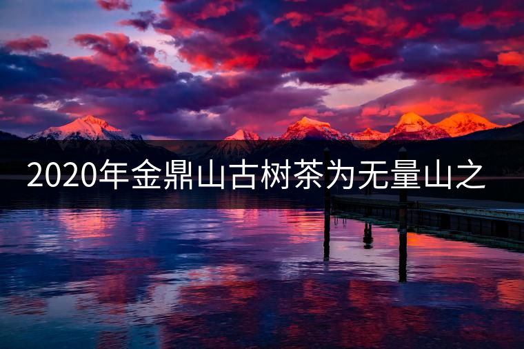 2020年金鼎山古樹茶為無(wú)量山之魂 -易武中聘號(hào)