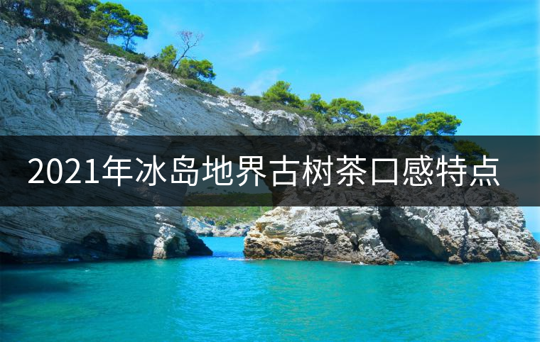 2021年冰島地界古樹茶口感特點(diǎn)是什么？