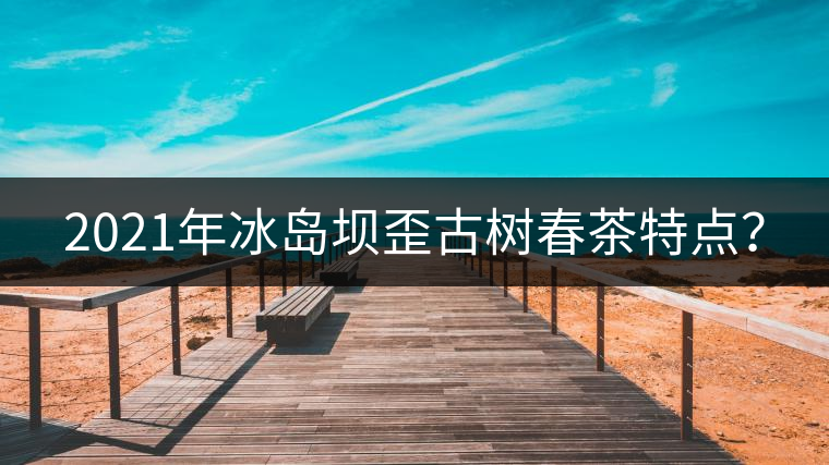 2021年冰島壩歪古樹春茶特點(diǎn)？