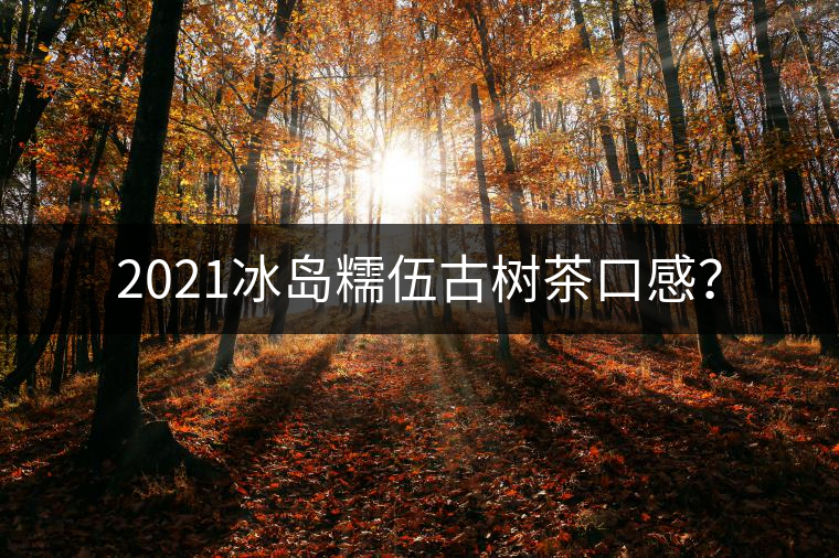 2021冰島糯伍古樹(shù)茶口感？