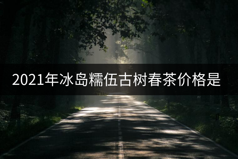 2021年冰島糯伍古樹(shù)春茶價(jià)格是多少？