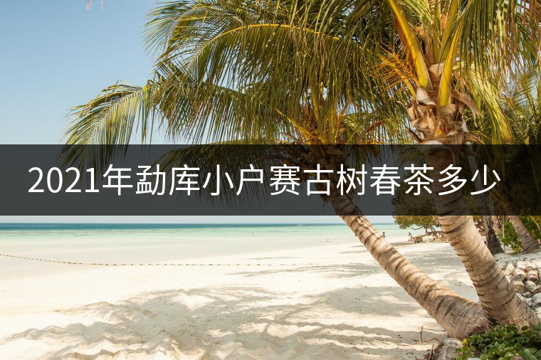 2021年勐庫小戶賽古樹春茶多少錢一公斤？