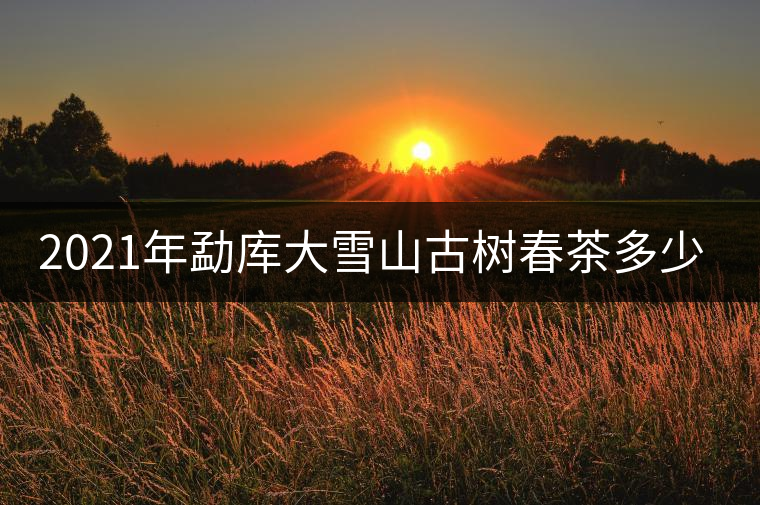 2021年勐庫大雪山古樹春茶多少錢一公斤？