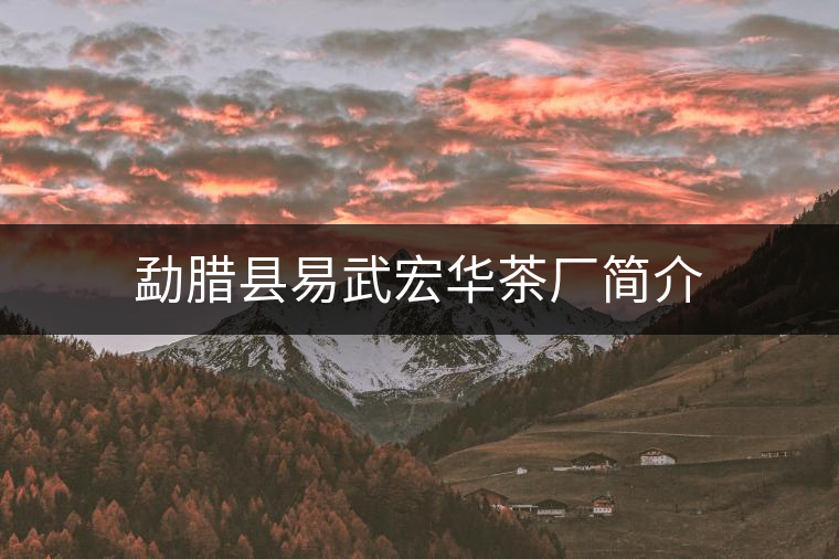 勐臘縣易武宏華茶廠簡介