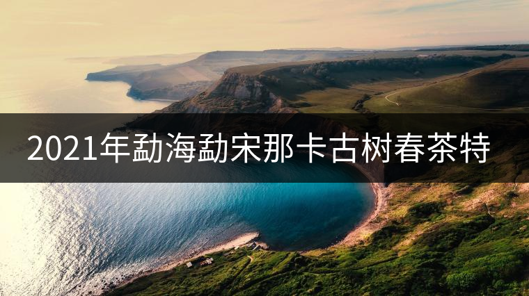 2021年勐海勐宋那卡古樹春茶特點？