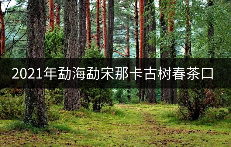 2021年勐海勐宋那卡古樹春茶口感特點(diǎn)？