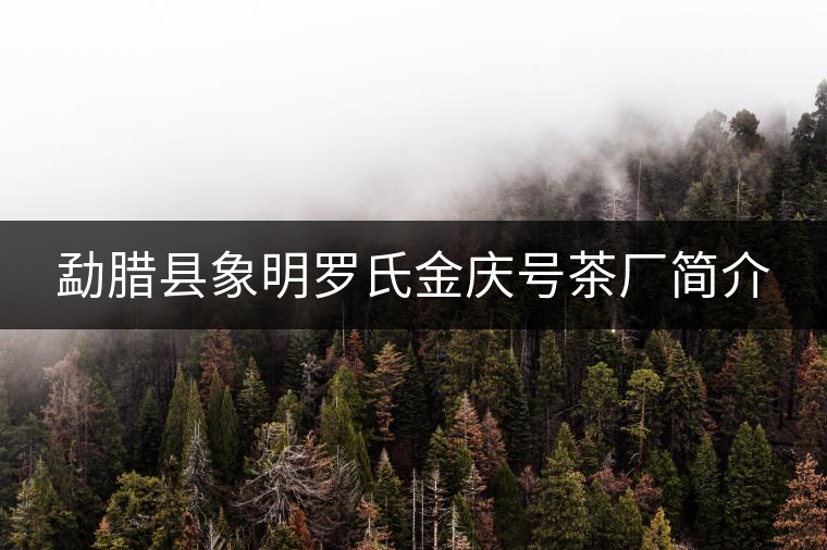 勐臘縣象明羅氏金慶號(hào)茶廠簡(jiǎn)介